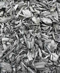 Biochar