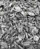Biochar