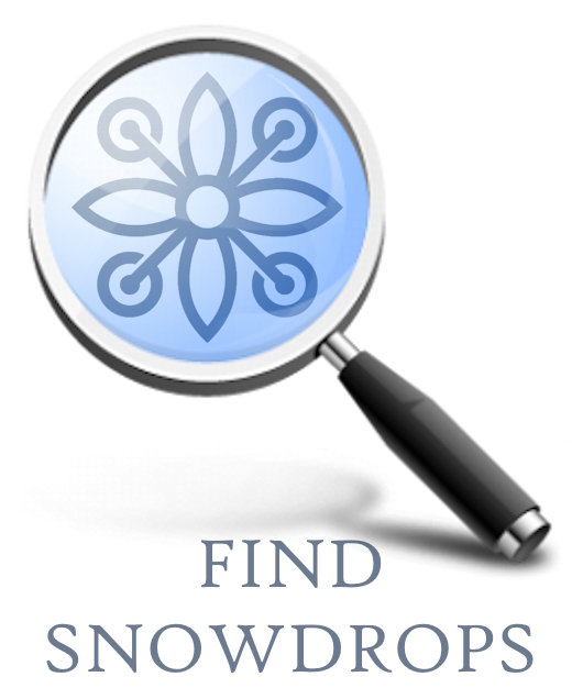 Find Snowdrops